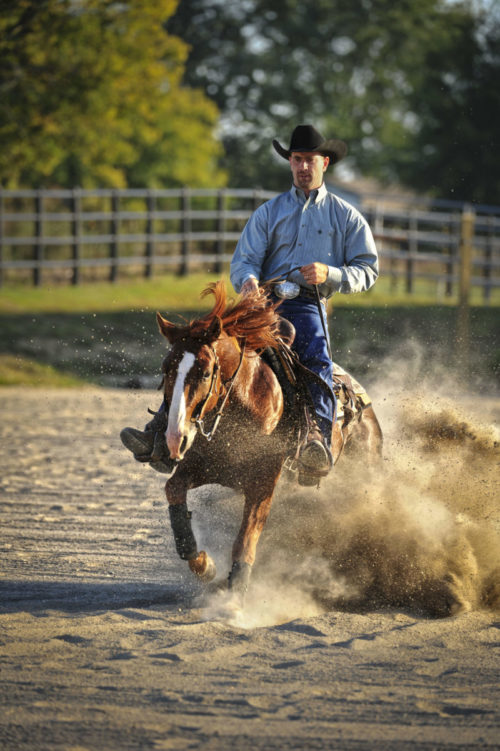 5-Day Trainers Clinic Cross Plains, TN. – (615) 379-1056