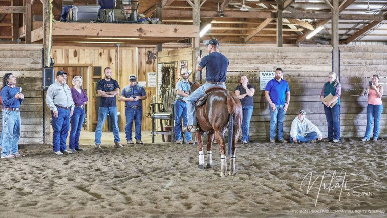 L2-Horse Training Program Clinics