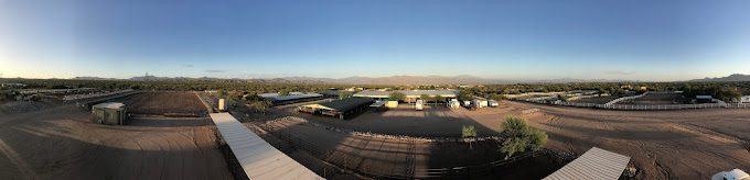 equine certification program February